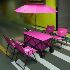 Chariot multifonction personnalisé avec logo – Bollerwa...