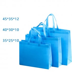 Sacs et pochettes personnalisés – Sacs non tissés avec ...