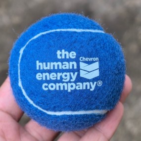 Balles de tennis promotionnelles personnalisées pour év...