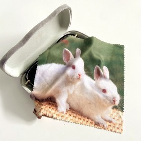 Chiffon microfibre pour lunettes personnalisé – Giveawa...